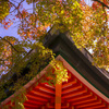 耕三寺の紅葉