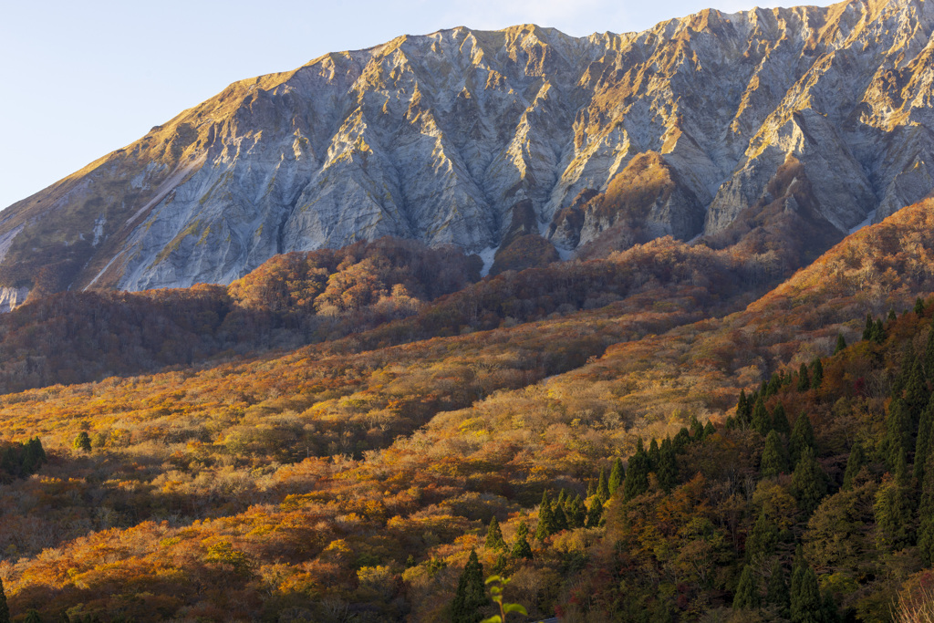 夕照の大山と紅葉