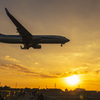 sunset landing 2