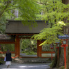 新緑の貴船神社