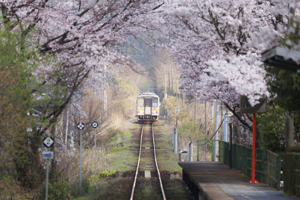 春の鉄路