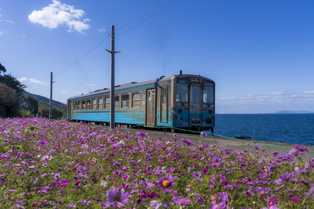 秋晴れと単行列車