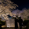 鶴山公園の桜祭り