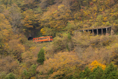 紅葉と単行列車