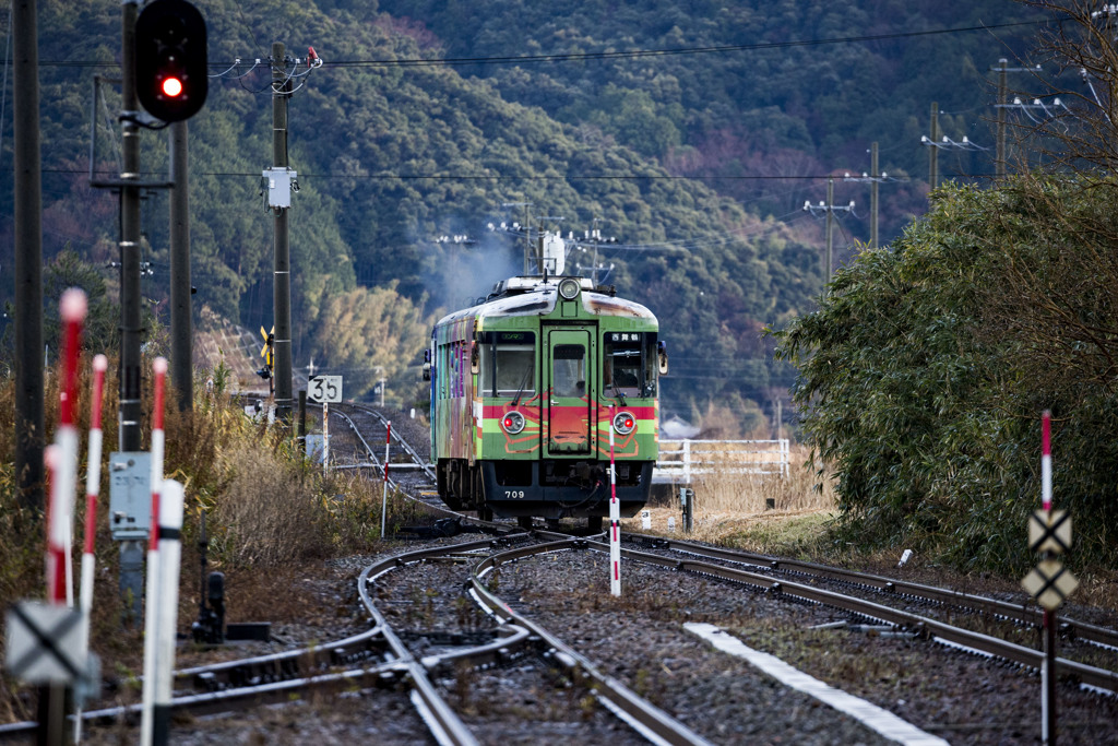 冬への助走