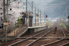 桜咲く駅へ