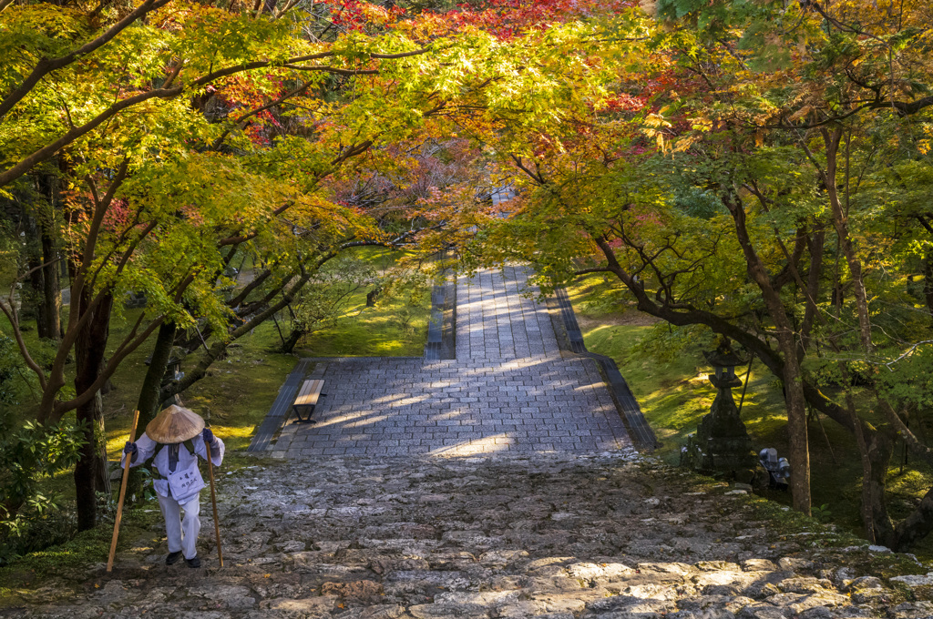 竹林寺の秋遍路