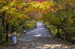 竹林寺の秋遍路