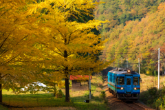 銀杏と単行列車