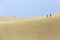 夏の砂丘
