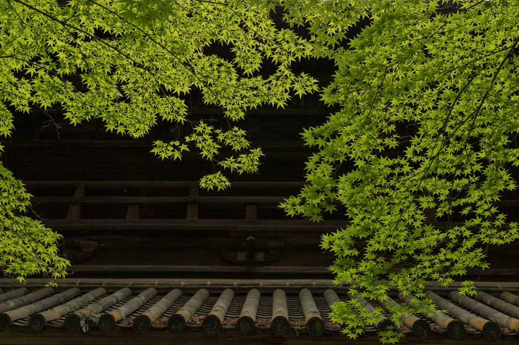 山門の彩