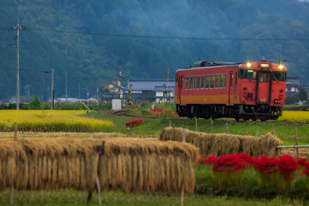 野路の秋を走る