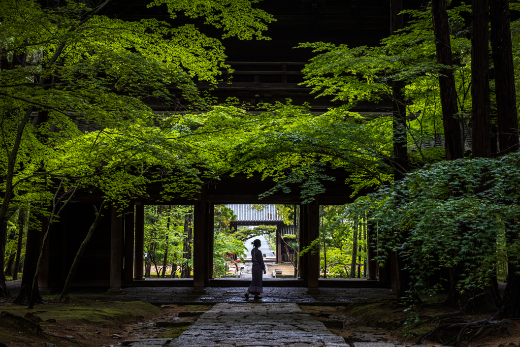 新緑の山門