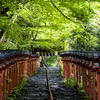 新緑の貴船神社