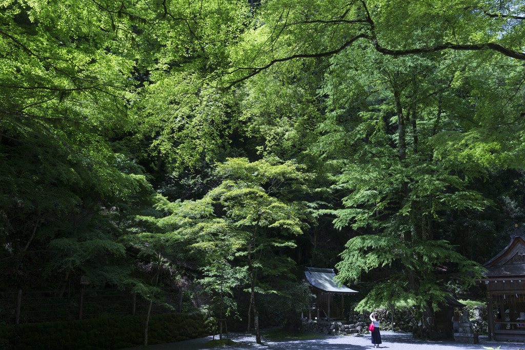 初夏の奥宮