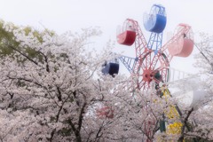 桜咲く遊園地