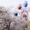 桜咲く遊園地