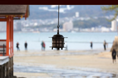 秋の厳島神社