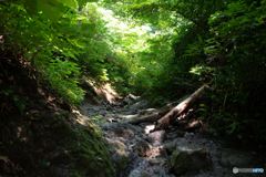 高尾山 ６号路