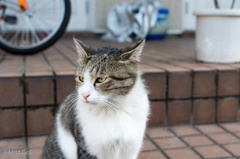 お久しぶり