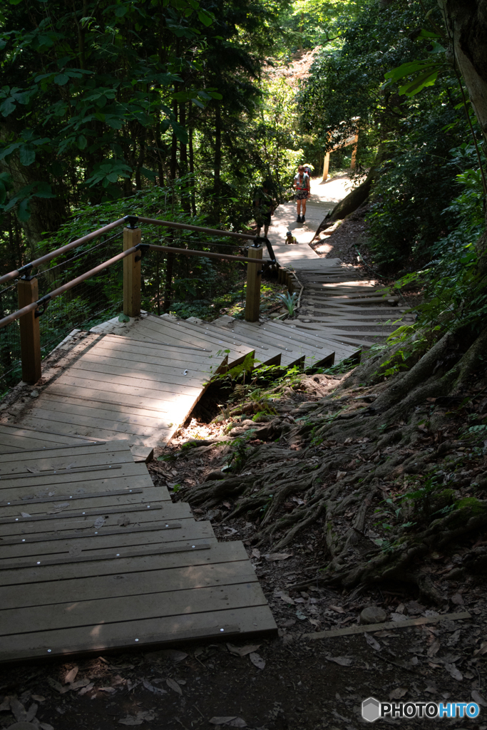 高尾山 ４号路