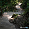 高尾山 ４号路
