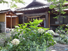 田無神社にて