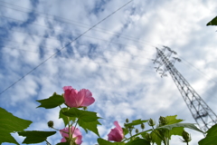 雨上がり