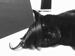 ウィック付けたらイケメンだった