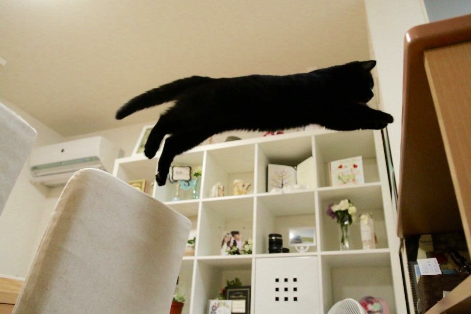 トゥー！