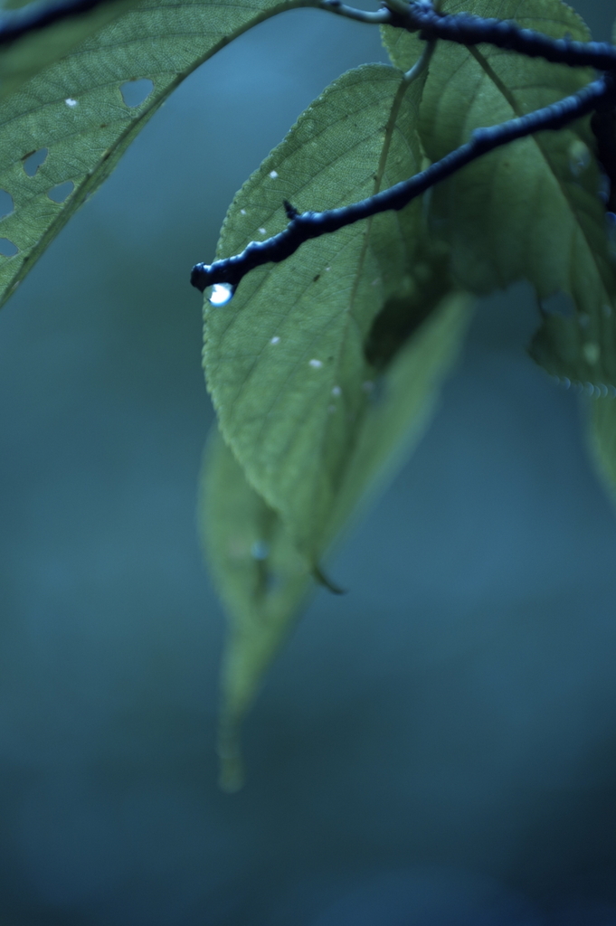 1-_K_37386