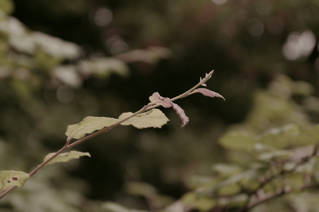 1-_K_37413