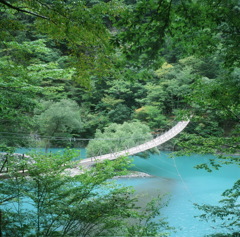 夢の吊り橋