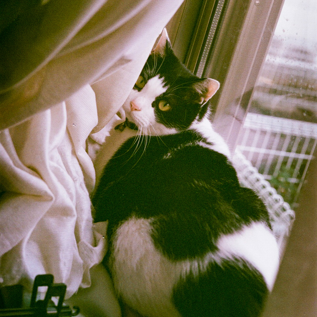 フィルム前線荒れ模様