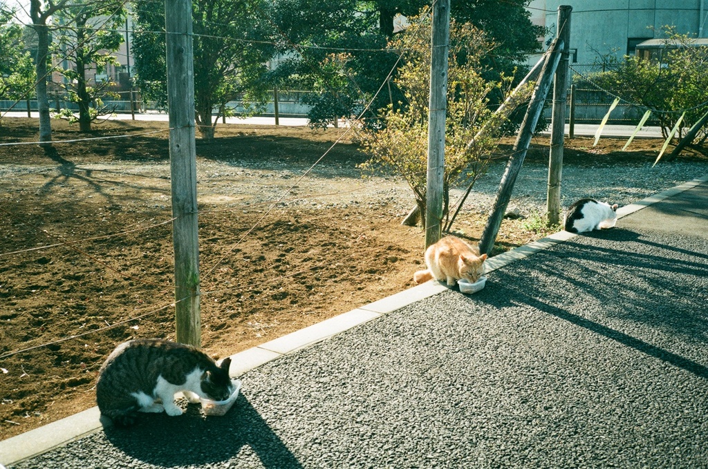 微妙な距離感