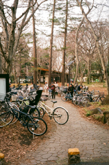 冬の深大寺