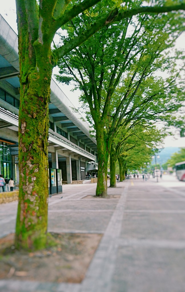 京都ロームシアター前。