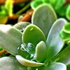 雨上がり。