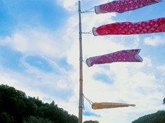 季節外れの鯉のぼり。
