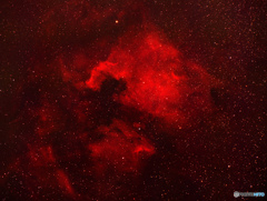 北米星雲とペリカン星雲（１）
