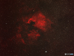 北米星雲とペリカン星雲（２）