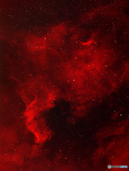 北米大陸星雲 NGC7000