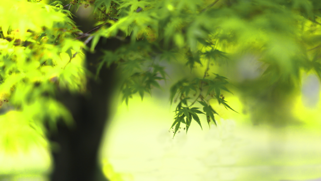 秦野・戸川公園