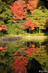 紅葉(平安神宮庭園)