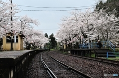 能登鹿島駅②