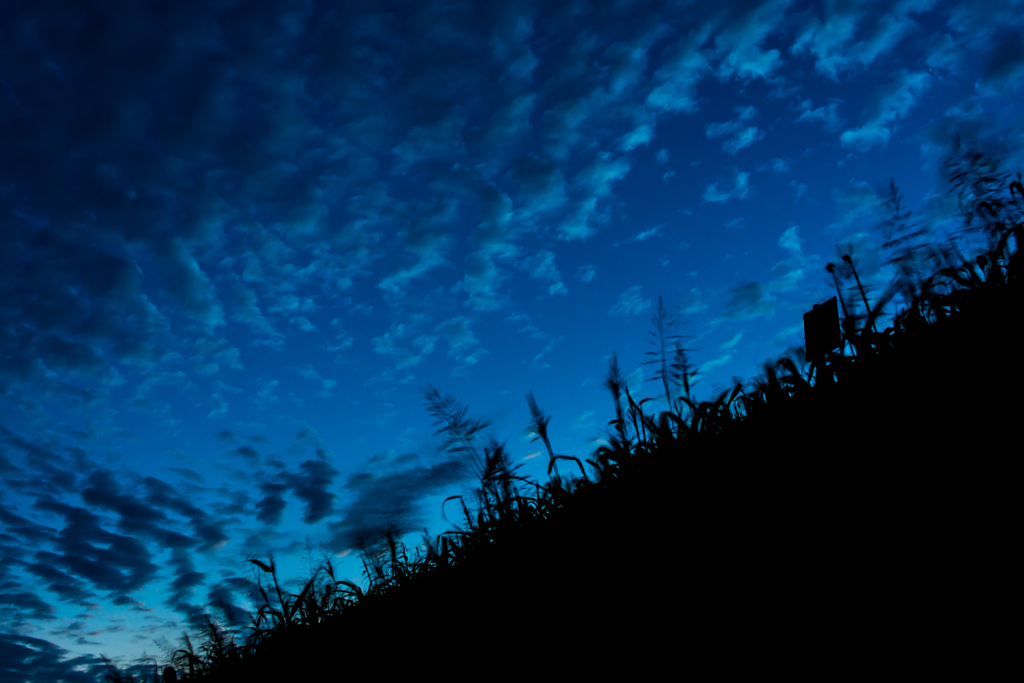 逢魔が時の空 by ちょましん （ID：5980905） - 写真共有サイト:PHOTOHITO