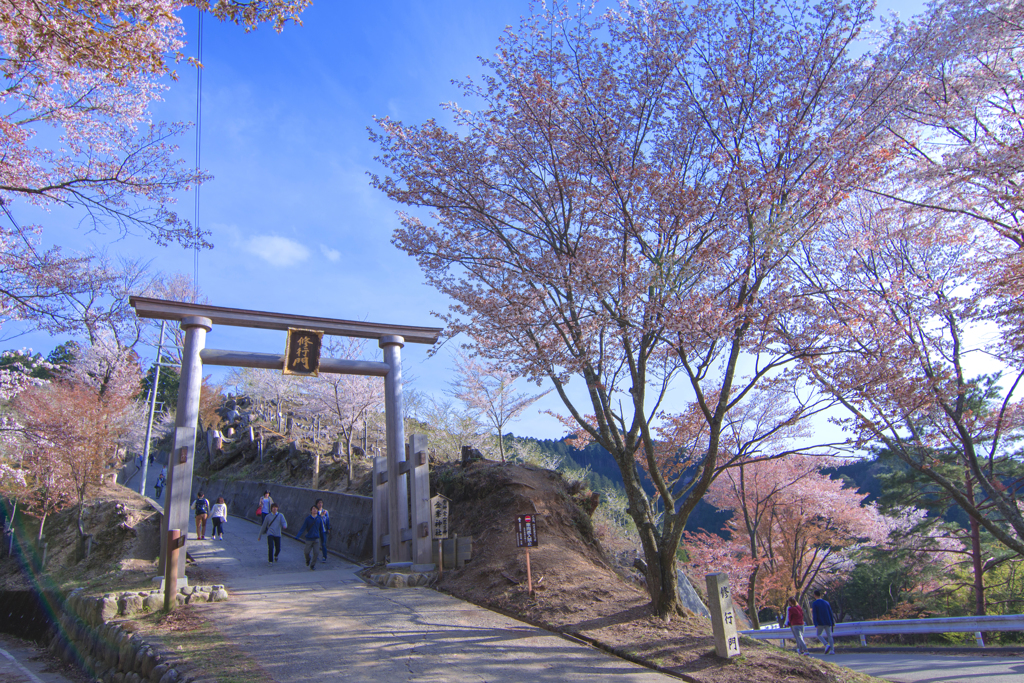 吉野山 青空と桜と修行門