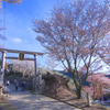 吉野山 青空と桜と修行門