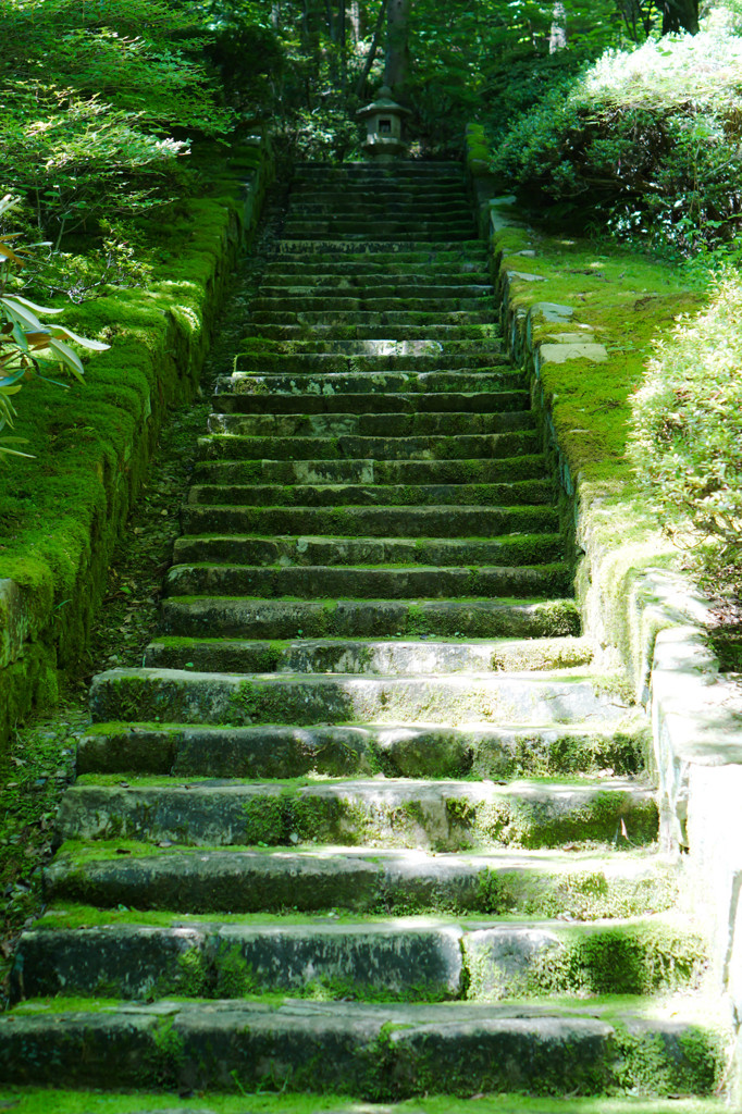 緑の階段