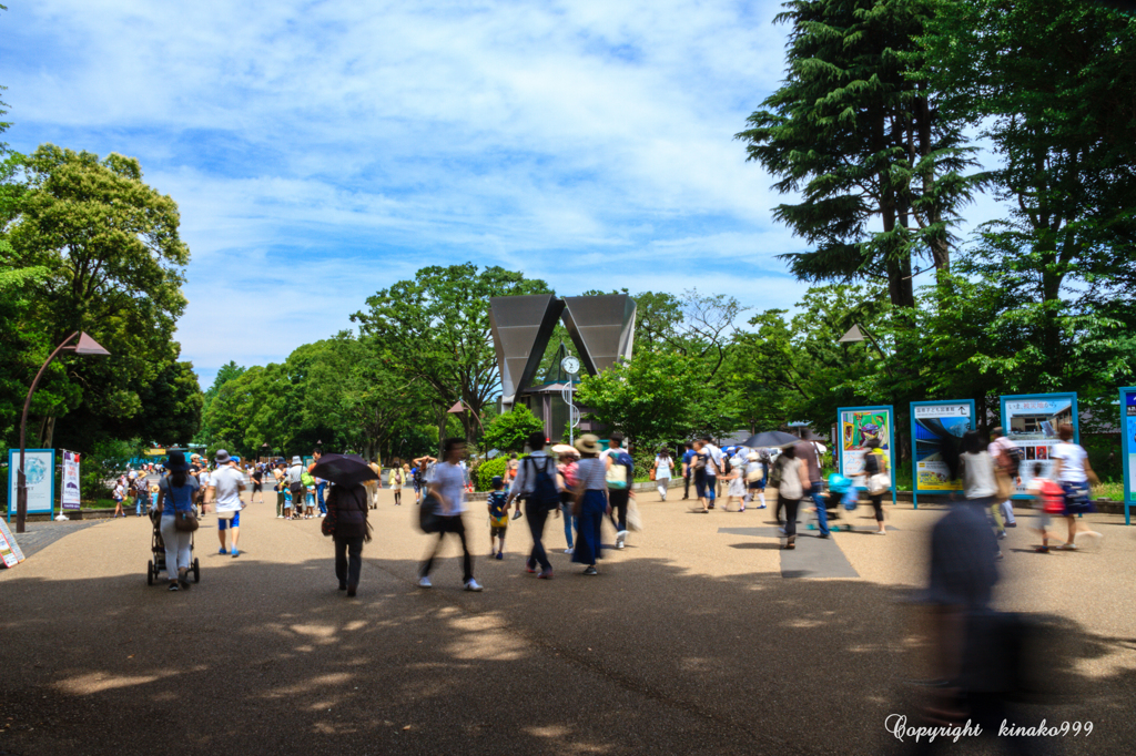 家族の休日